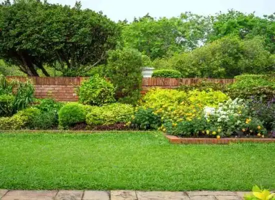 landscaping services Spring Ridge